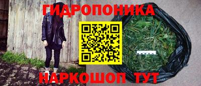 ГАЛЛЮЦИНОГЕННЫЕ ГРИБЫ Гусь-Хрустальный