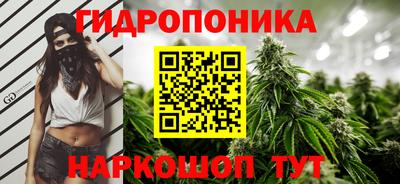 ГАЛЛЮЦИНОГЕННЫЕ ГРИБЫ Гусь-Хрустальный