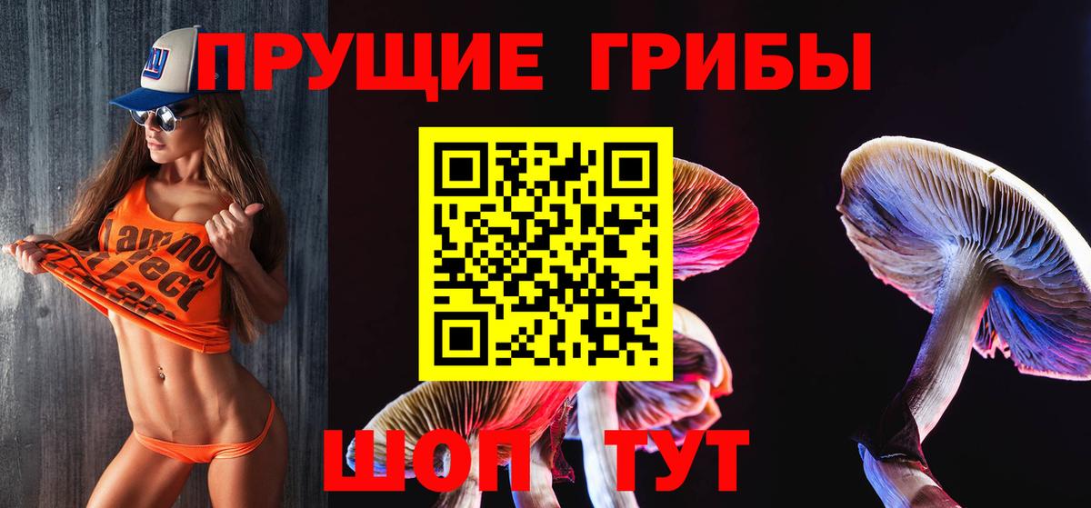 купить   Вход с VPN  Дальнереченск  Галлюциногенные грибы Cubensis 